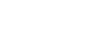 logo white